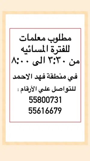 ديزني هاوس