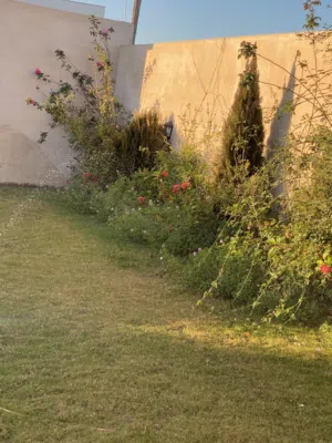 استراحه للبيع رئيسي الباعيش ممتازه