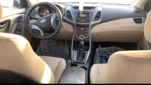 هولندي النترا
