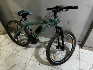 10 days old bicycle