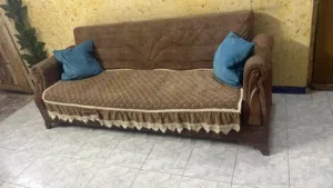 تخم قنفات للبيع