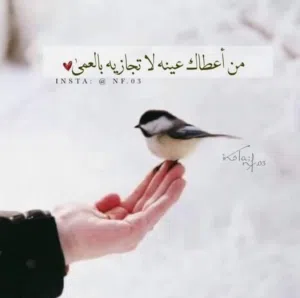 meiem fatima 
