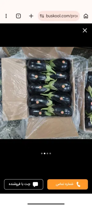 باذنجان عضوي من مزارع إيرانية