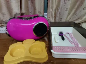 أغراض قطة للبيع