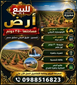 Farm Land for Sale in Homs Other