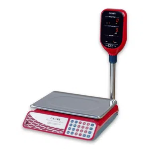 CAMRY Digital Weighing Scales