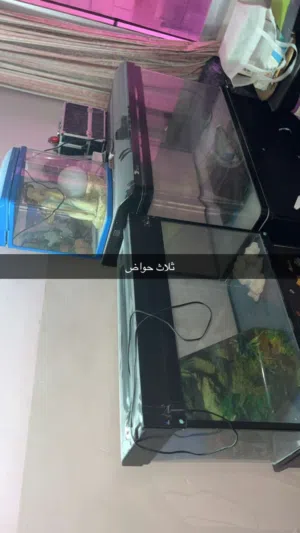 احواض   استعمال خفيف يمبي ليه تنضيف بس