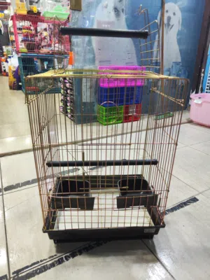 قفص ذهبي ضد الصدأ ، معالج حراريا مناسب لكل انواع الطيور ، كوكتيل ، كاسكوا، تيمنا كل انواع الطيور