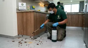 Pest control service