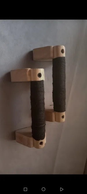 بارالتس ( للكالسثنكس)