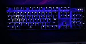 Keyboard hyperx silver speed switch