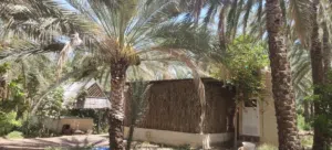 مزرعة قائمه