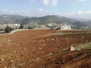 Farm Land for Sale in Amman Other