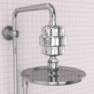 Shower filter