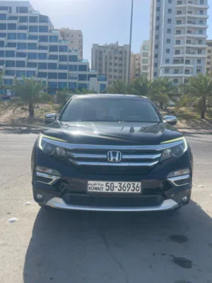 هوندا بايلوت
