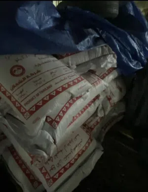 رز الشعلان بكا رصيص بسعر الجمله