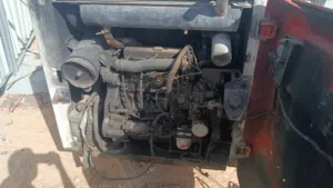 Bobcat for sale