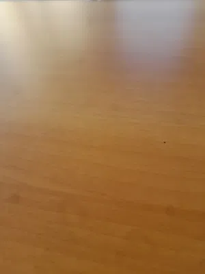 مطلوب أرض سكني للبيع الدفع كاش
