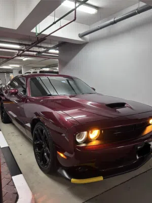 Used Dodge Challenger in Dubai