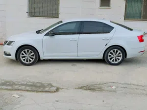Used Skoda Octavia in Hebron