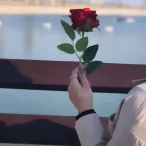 فاطمة سعد 