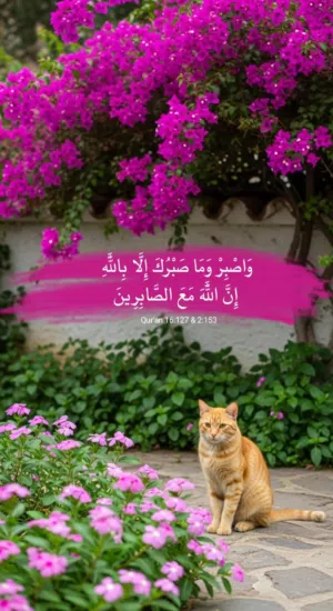 حسين 
