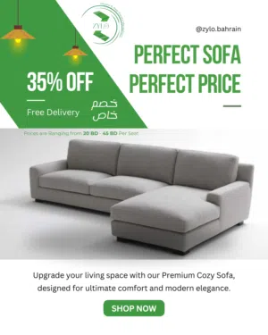 Comfortable Sofas for Living Room - Affordable-Reasonable-Durable-Comfortable - See Description