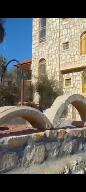 اكبر مزارع الزيتون في جرش 75 دنم مع بيت ريفي إطلالة جميلة جدا
