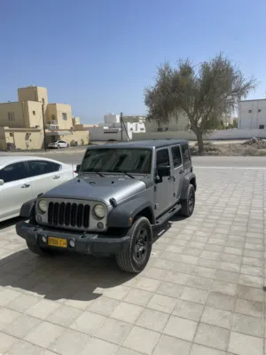 جيب  رانجلر 2014
