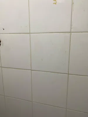 مطلوب سراميك نفس الدي في الصورة