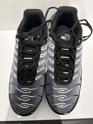 Nike air max shoes