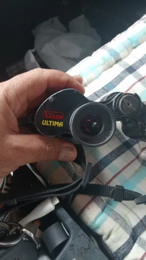 جميل الرويه