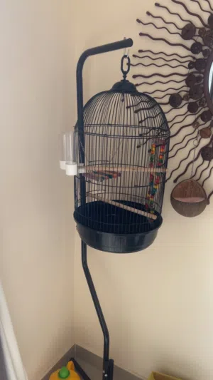 قفص طيور انيق مع اكسسوارات ستاند متنقل