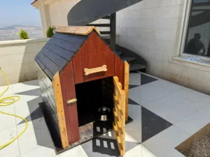 dog house بيت كلب