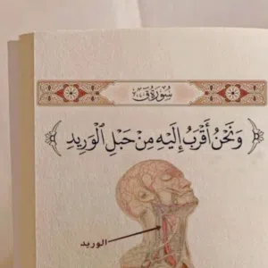 الحمد لله 