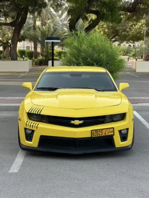 Used Chevrolet Camaro in Muscat