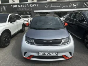 2021 BYD DOLPHIN FASHION