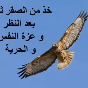 كمال الصبراتي 