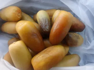 رطب نغال للبيع