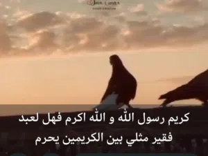 مطلوب مربي دواجن وبط خبره فالانتاج و التسمين