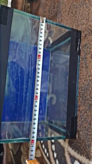 حوض سمك حجم متوسط