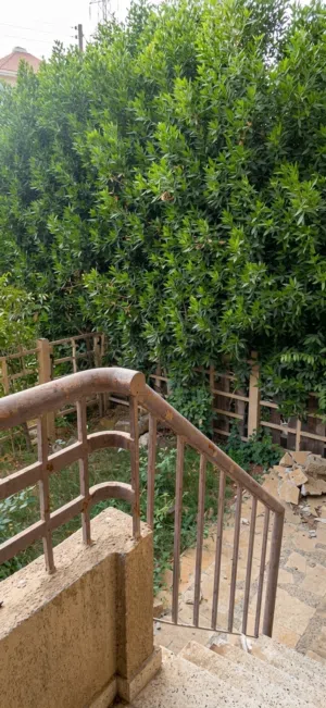Residential Land for Rent in Cairo Madinaty