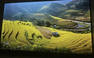 شاشة jvc شبه جديدة 4k