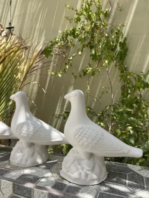 طيور زينه بالجبس