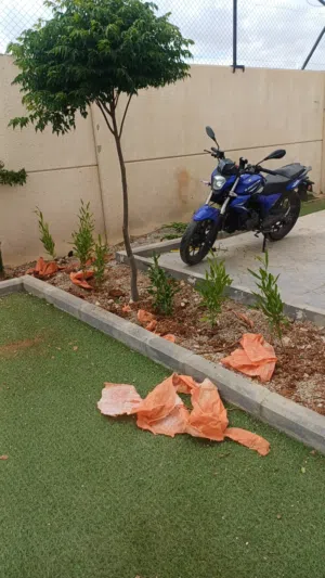 شبه جديدة qj 200 cc