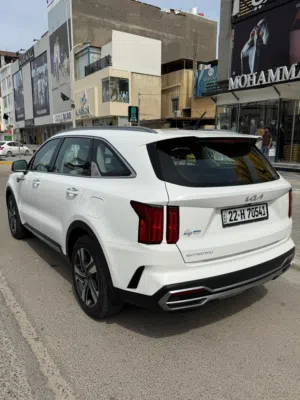 New Kia Sorento in Basra