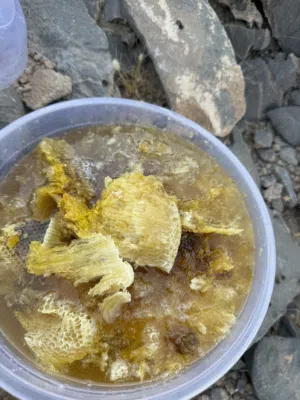 عسل ابو طويق طازج اليوم