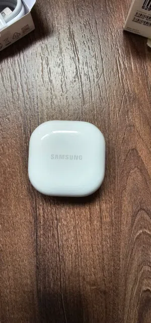 Samsung Galaxy Earbuds 2