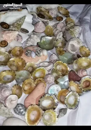 جواهر البحر الاحمر