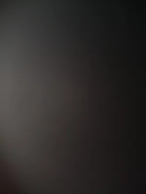 ووىبؤءءيبانمظوىرvvccxx